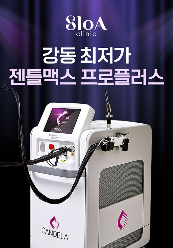 젠틀맥스